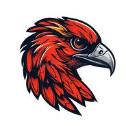 𝐅𝐚𝐥𝐜𝐨𝐧