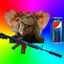 DerUdo