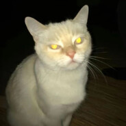 喜不喜欢爸爸的大弹夹