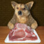 viande de chien