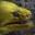 Giggles McChuckleduck