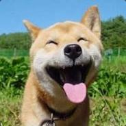 怨灵鬼 ( Onryoki )