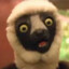 Zoboomafoo