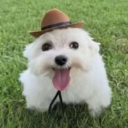 dav
