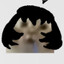 Wattson