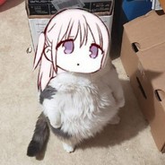 今天你白给了吗