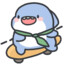 老菜鸟