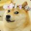 Shibe Princess