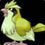 Shiny Pidgey