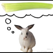 yosem