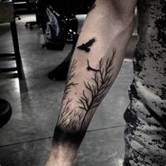 ✔ DarkWolf ✔
