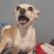 diablillo