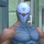 ★ gray fox