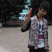 tiganul infractor 28