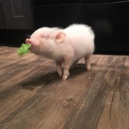 炫酷无敌美少女