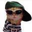 swag cat