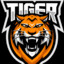 CN_Tiger