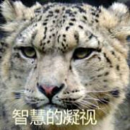 老蒋掏出枪就...