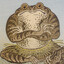 toad2