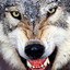 Fs_WlowWolfmen