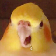 我也不想这么菜啊