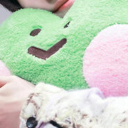 摆烂的天子饺子