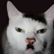 Adolf catler