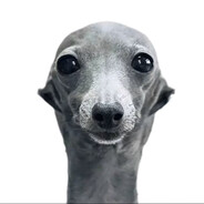 LIL BULLET's avatar
