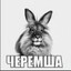 Черемша