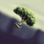 pewnix&#039;s floating tree