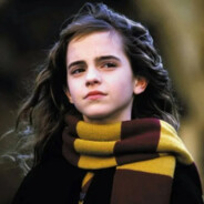 罗恩的鼻涕虫三明治