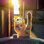 不知道你是否也陷入了