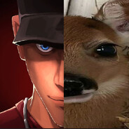 Steam Avatar