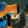 :) SKINS