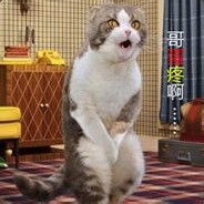 嘿你愁啥呢在你后面呢