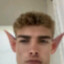 squibll mcdibble