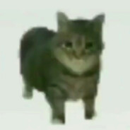 xd avatar