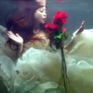 五星级米其林鸡腿