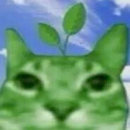 定时
