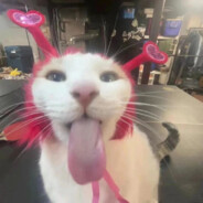 Big Avatar