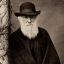 Darwin