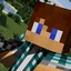 Shane