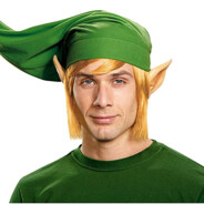 Link (from the hit blockbuster)