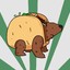 tacobear