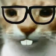 我是手柄玩家非常菜