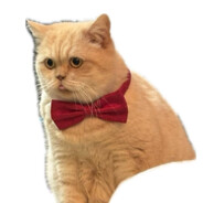 Fōunder