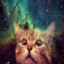 .universecat