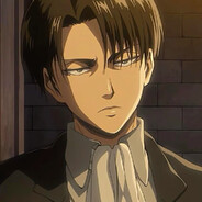 levi x 120