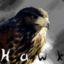 Hawk_4 (Silects)