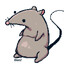 Pixel Rat
